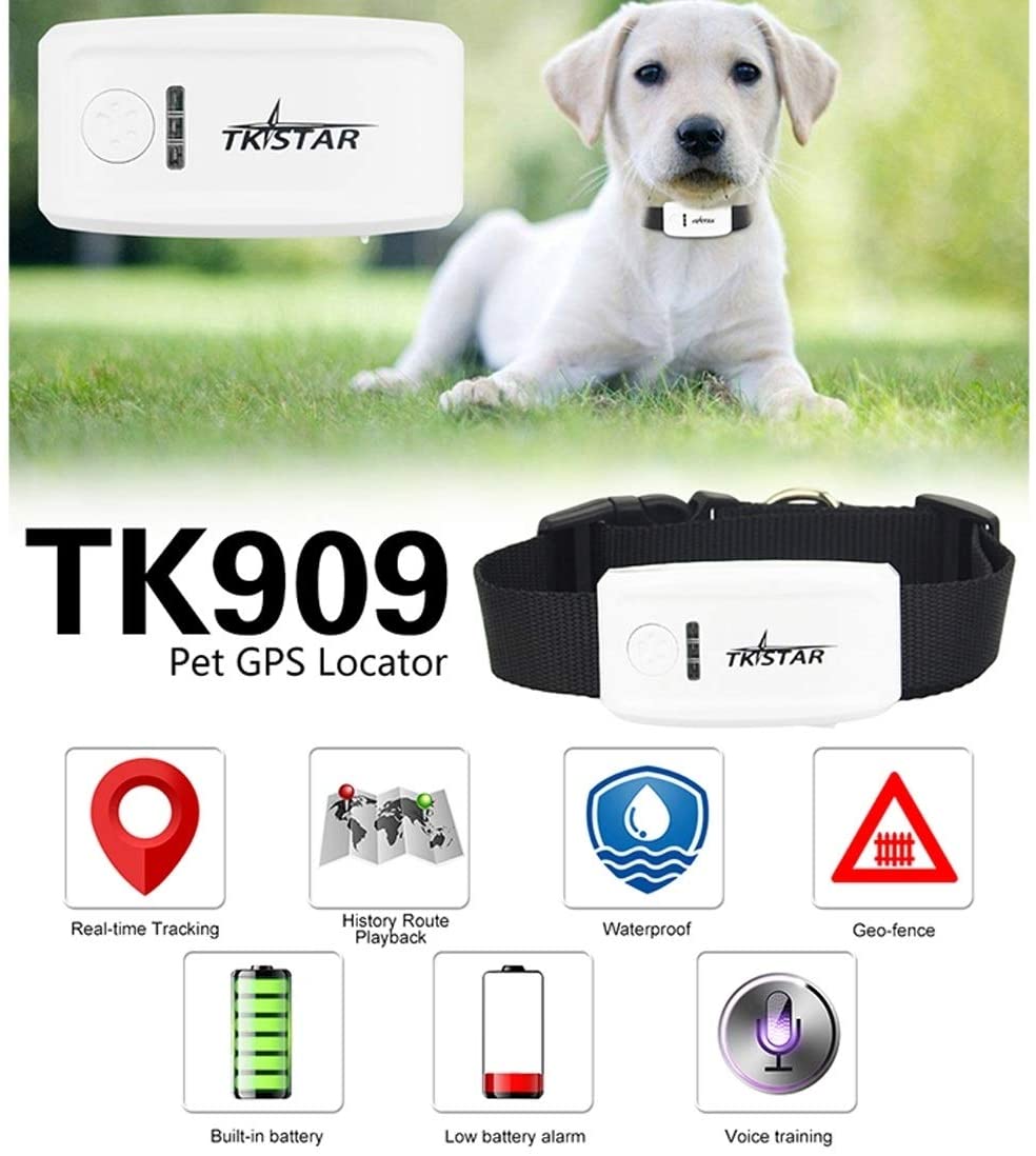 Save IT GPS tracker chien chat animal de compagnie - Collier inclus -  convient