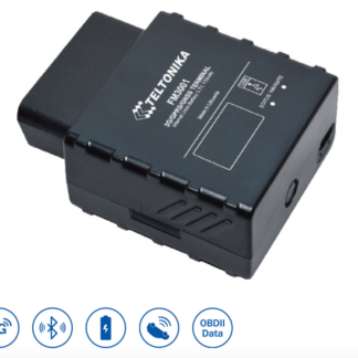 Teltonika FM3001 (3G)